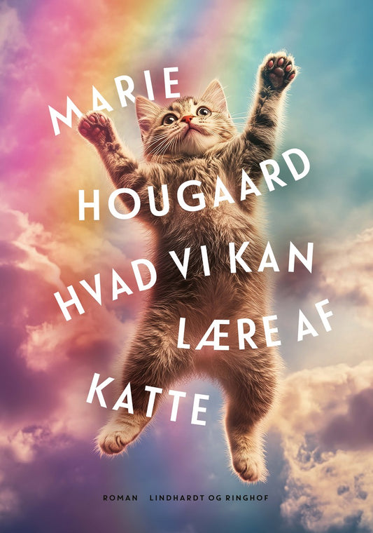 HVAD VI KAN LÆRE AF KATTE