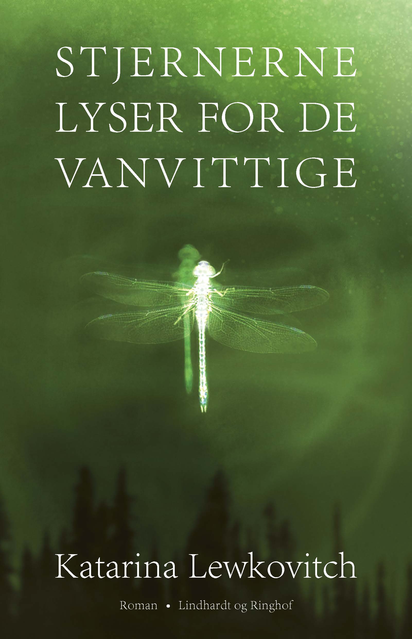 STJERNERNE LYSER FOR DE VANVITTIGE