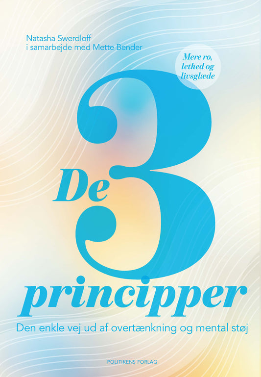 DE 3 PRINCIPPER