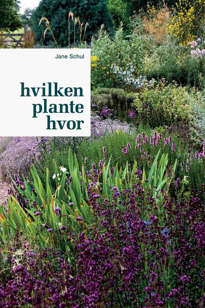 HVILKEN PLANTE HVOR