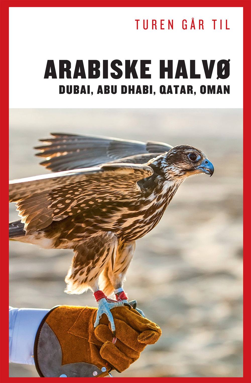 TUREN GÅR TIL ARABISKE HALVØ - DUBAI, MM