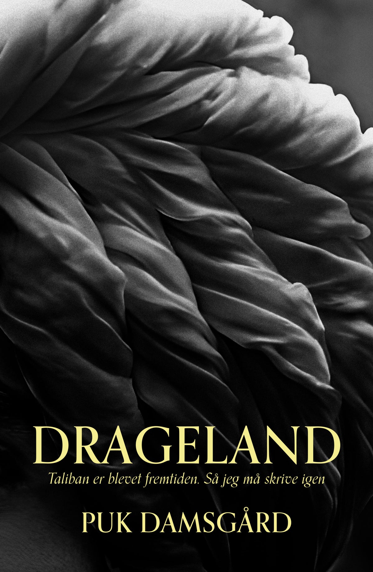 DRAGELAND