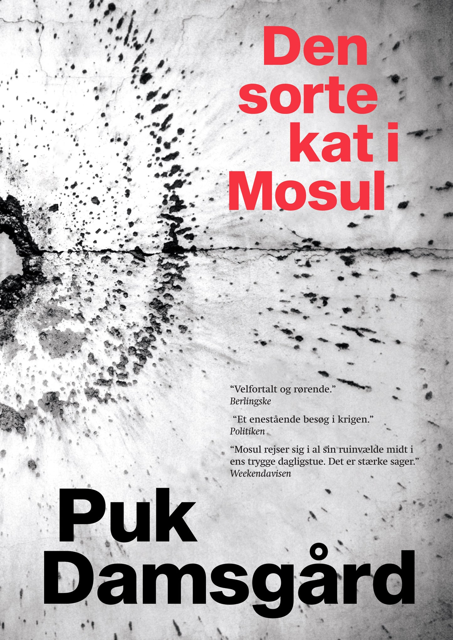 DEN SORTE KAT I MOSUL