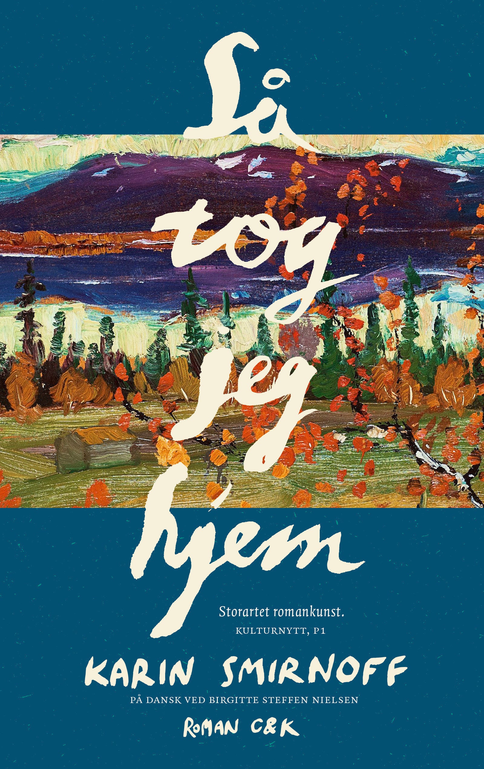 SÅ TOG JEG HJEM