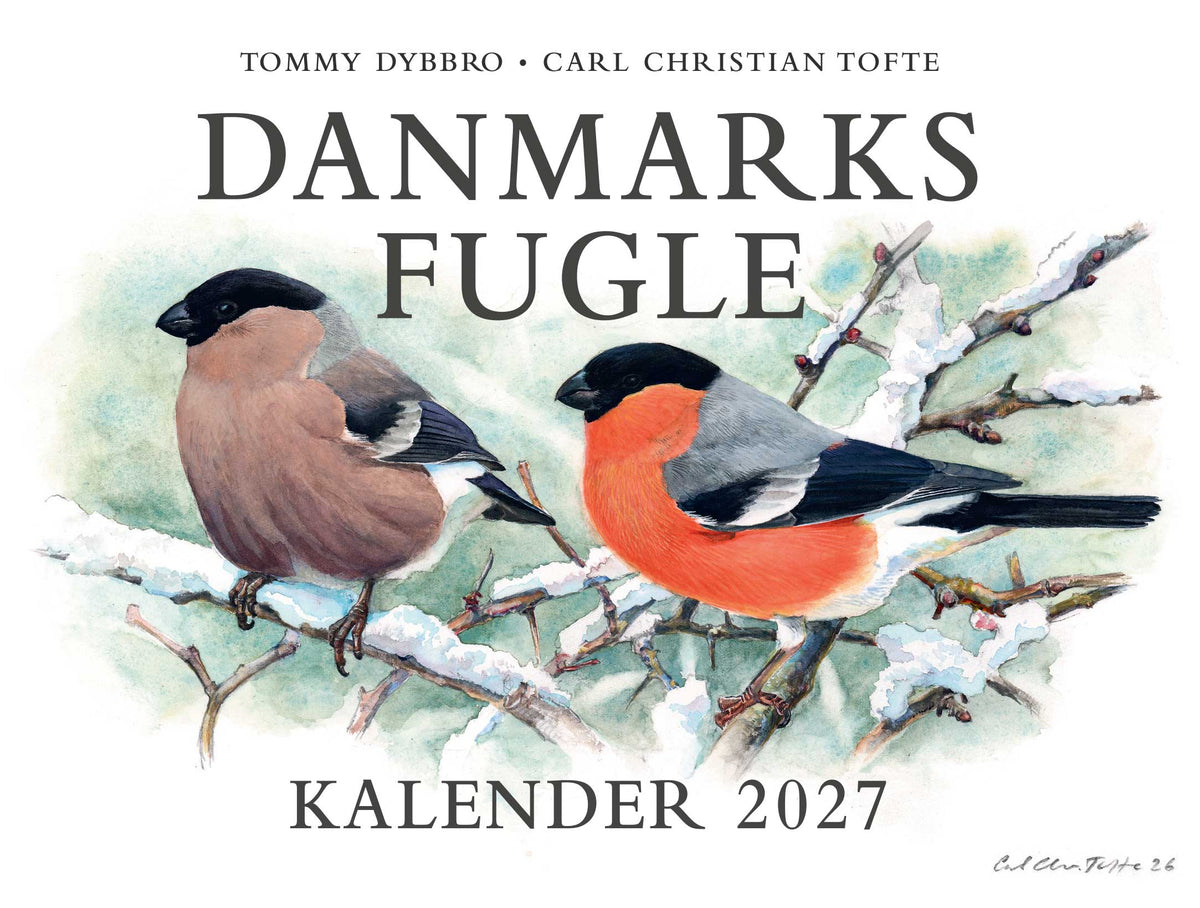 DANMARKS FUGLE - KALENDER 2027