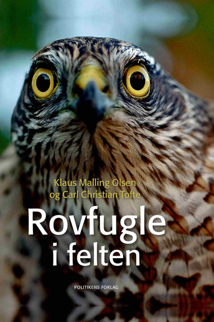 ROVFUGLE I FELTEN