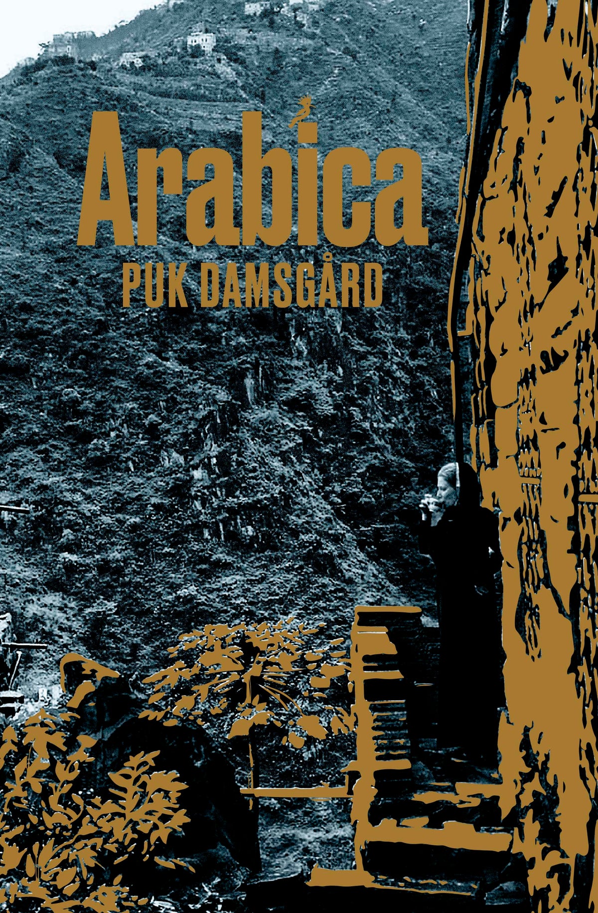 ARABICA