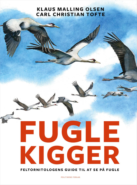 FUGLEKIGGER