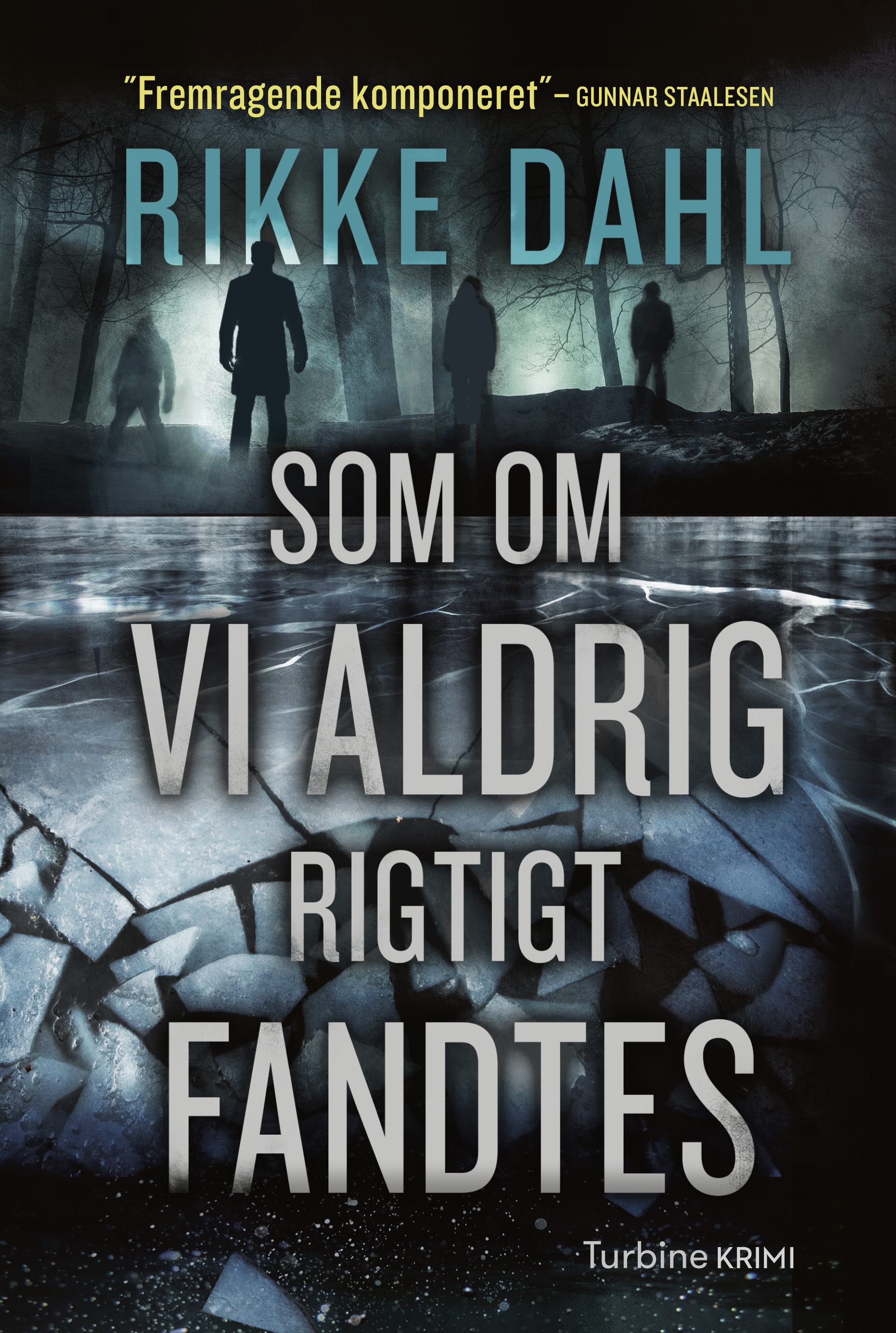 SOM OM VI ALDRIG RIGTIGT FANDTES