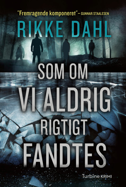 SOM OM VI ALDRIG RIGTIGT FANDTES