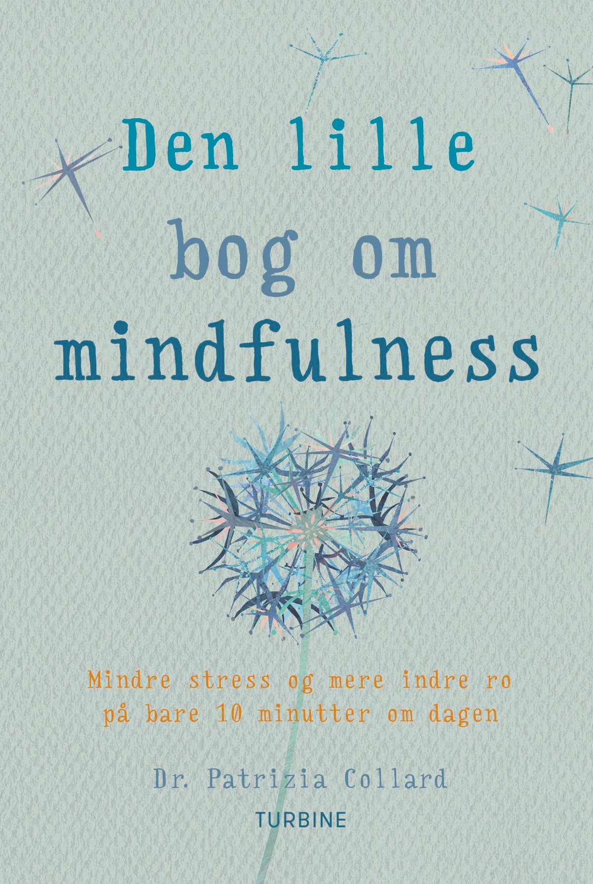 DEN LILLE BOG OM MINDFULNESS