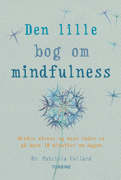 DEN LILLE BOG OM MINDFULNESS