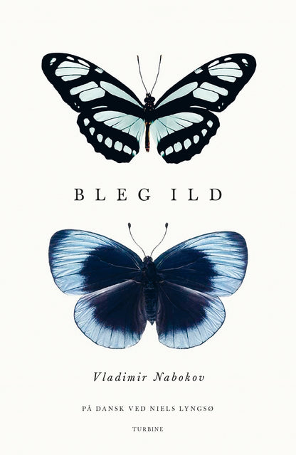 BLEG ILD