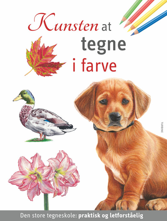 KUNSTEN AT TEGNE I FARVE
