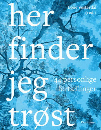 HER FINDER JEG TRØST