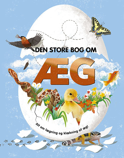 DEN STORE BOG OM ÆG