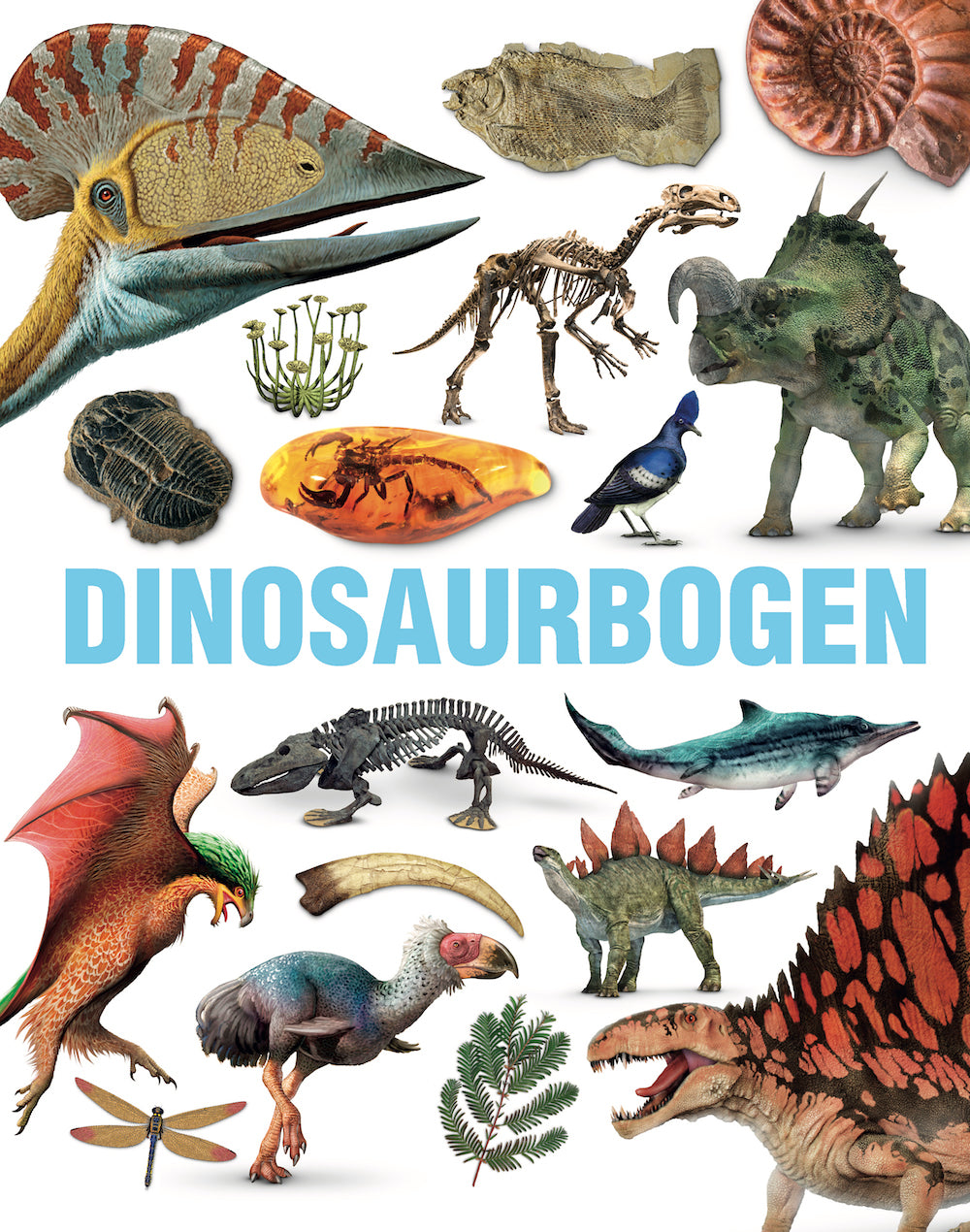 DINOSAURBOGEN 