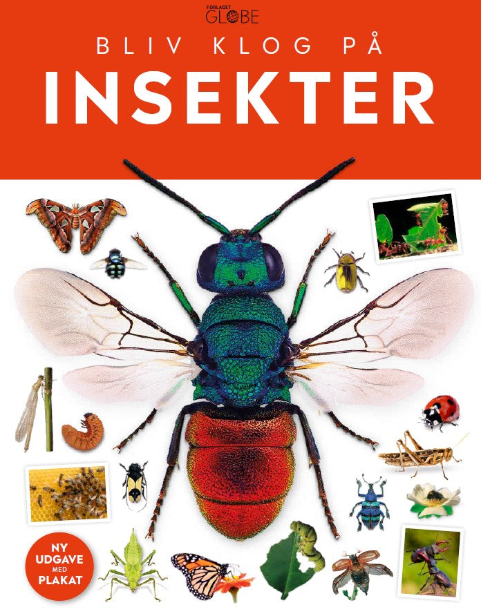 INSEKTER BLIV KLOG PÅ