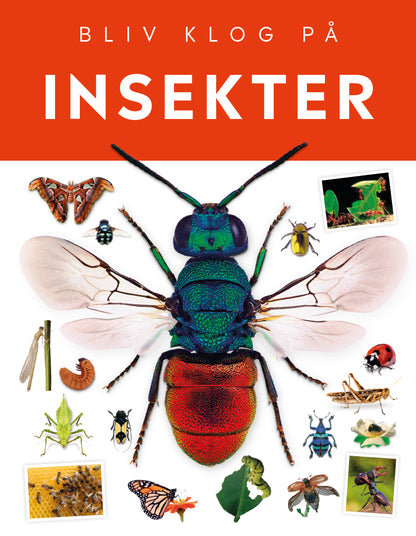 INSEKTER BLIV KLOG PÅ