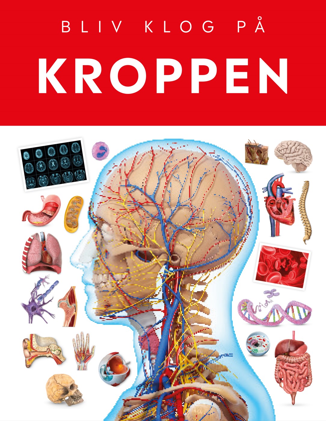 KROPPEN BLIV KLOG PÅ