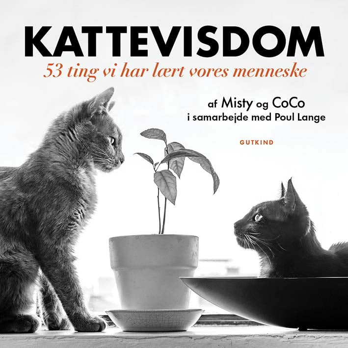 KATTEVISDOM