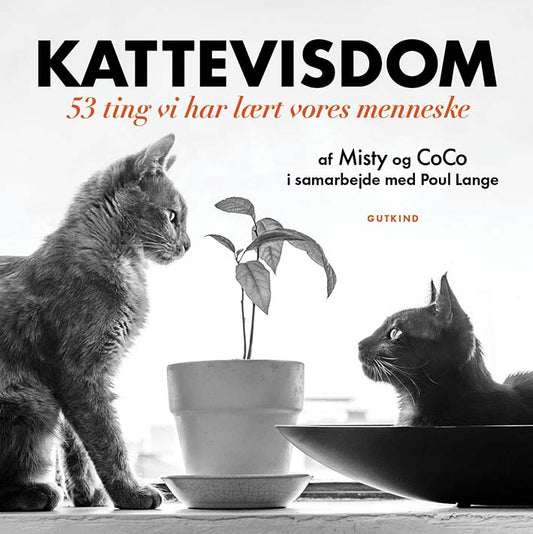 KATTEVISDOM
