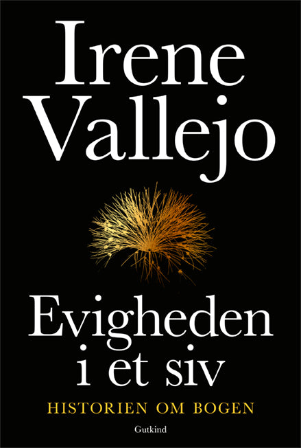 EVIGHEDEN I ET SIV