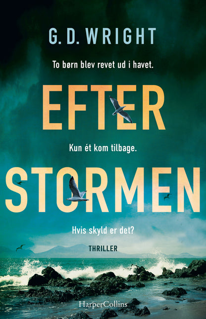 EFTER STORMEN