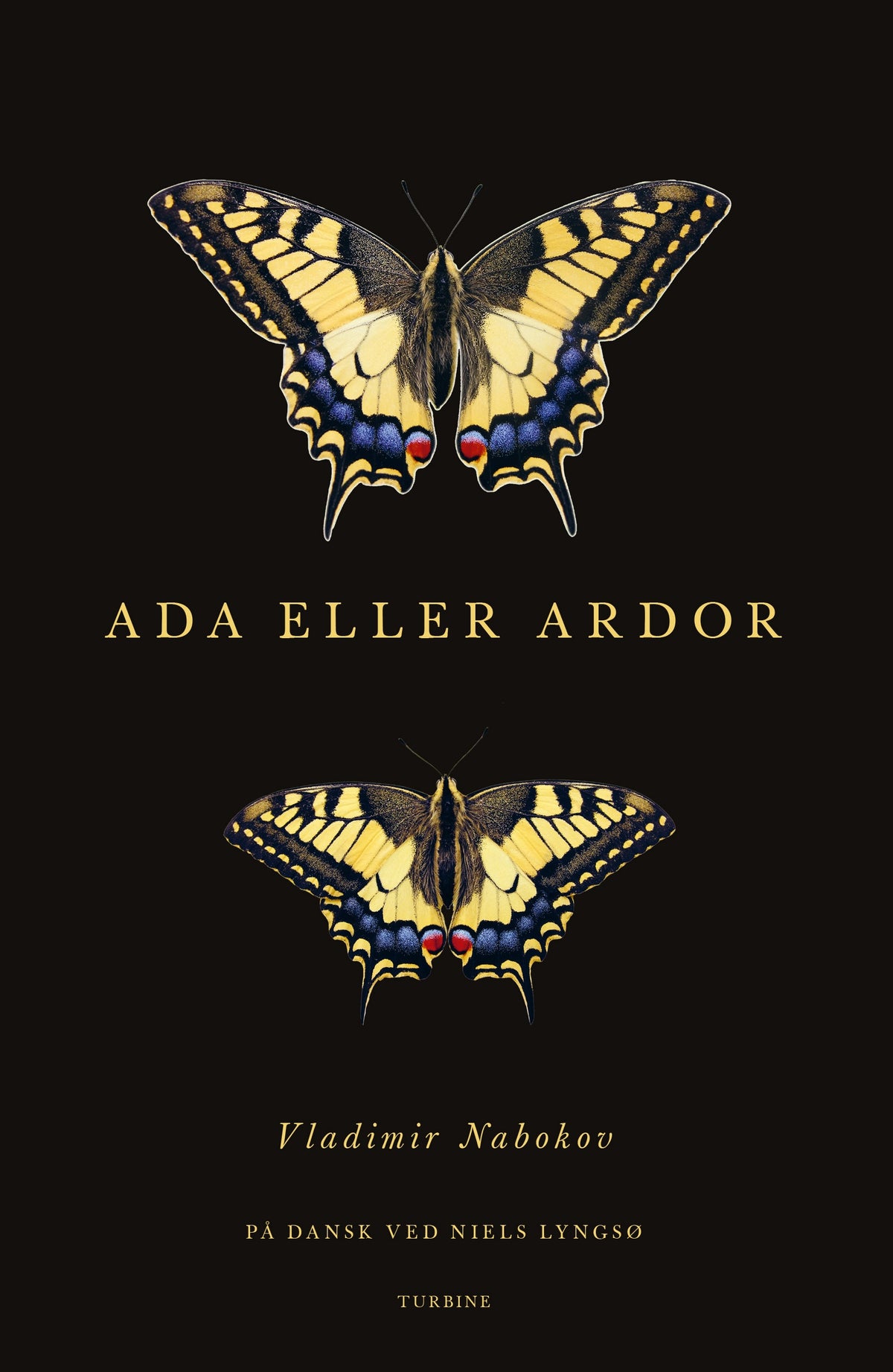 ADA ELLER ARDOR