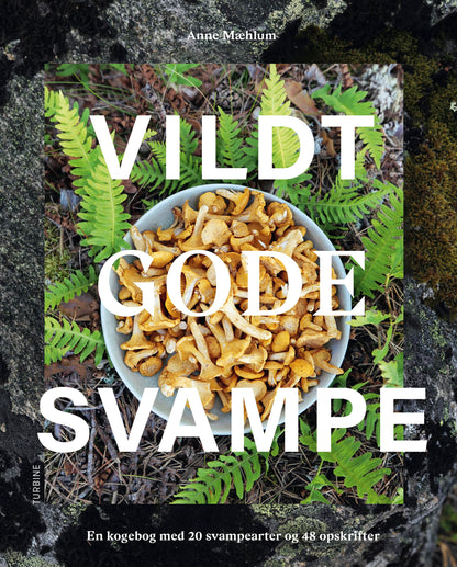 VILDT GODE SVAMPE
