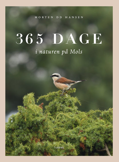 365 DAGE I NATUREN PÅ MOLS