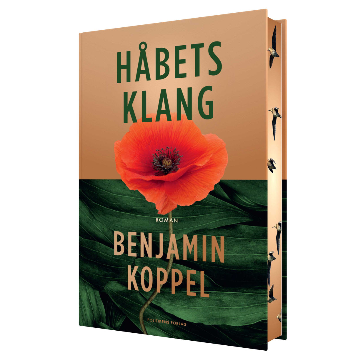 HÅBETS KLANG- SPRAYED EDGED