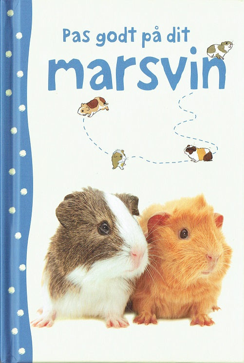 PAS GODT PÅ DIT MARSVIN