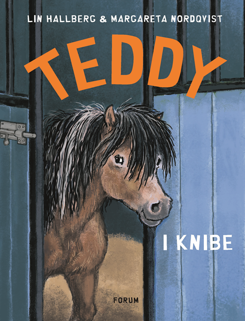 TEDDY-BØGERNE 4: TEDDY I KNIBE