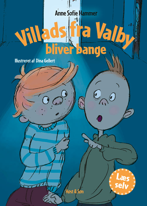 VILLADS FRA VALBY BLIVER BANGE .