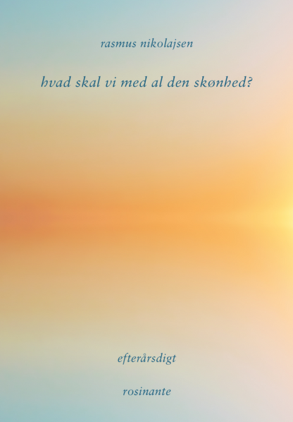 HVAD SKAL VI MED AL DEN SKØNHED?