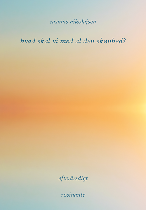 HVAD SKAL VI MED AL DEN SKØNHED?