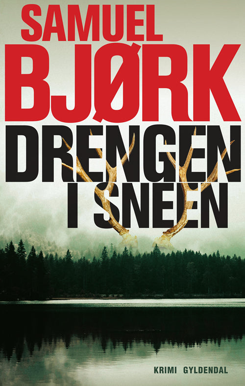 DRENGEN I SNEEN