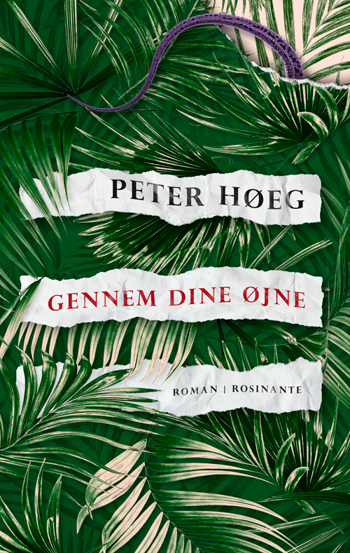 GENNEM DINE ØJNE