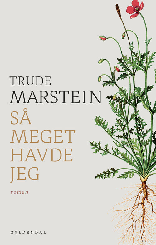 SÅ MEGET HAVDE JEG