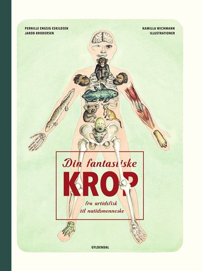DIN FANTASTISKE KROP - FRA URTIDSFISK TIL NUTIDSME