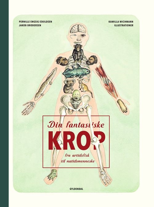DIN FANTASTISKE KROP - FRA URTIDSFISK TIL NUTIDSME