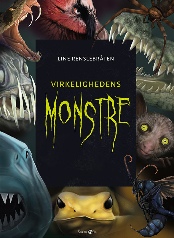 VIRKELIGHEDENS MONSTRE + MONSTREKORT