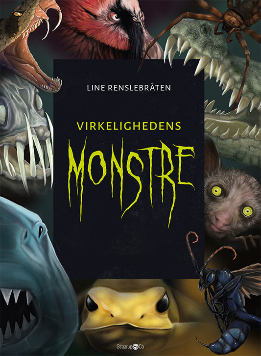 VIRKELIGHEDENS MONSTRE + MONSTREKORT