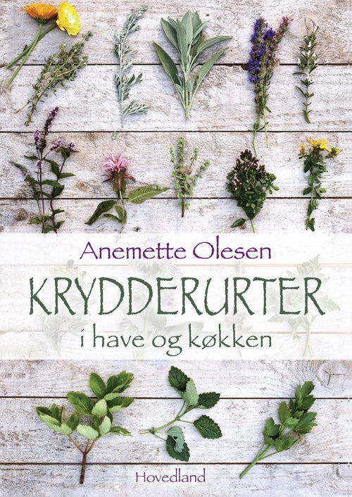 KRYDDERURTER I HAVE OG KØKKEN