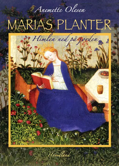 MARIAS PLANTER