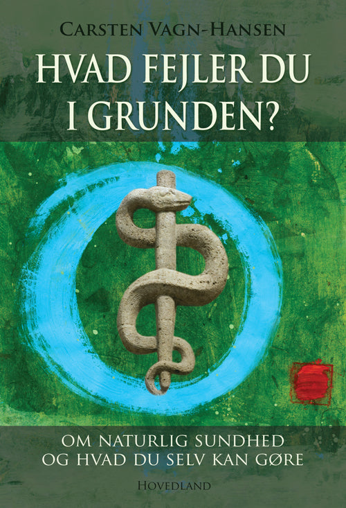 HVAD FEJLER DU I GRUNDEN?