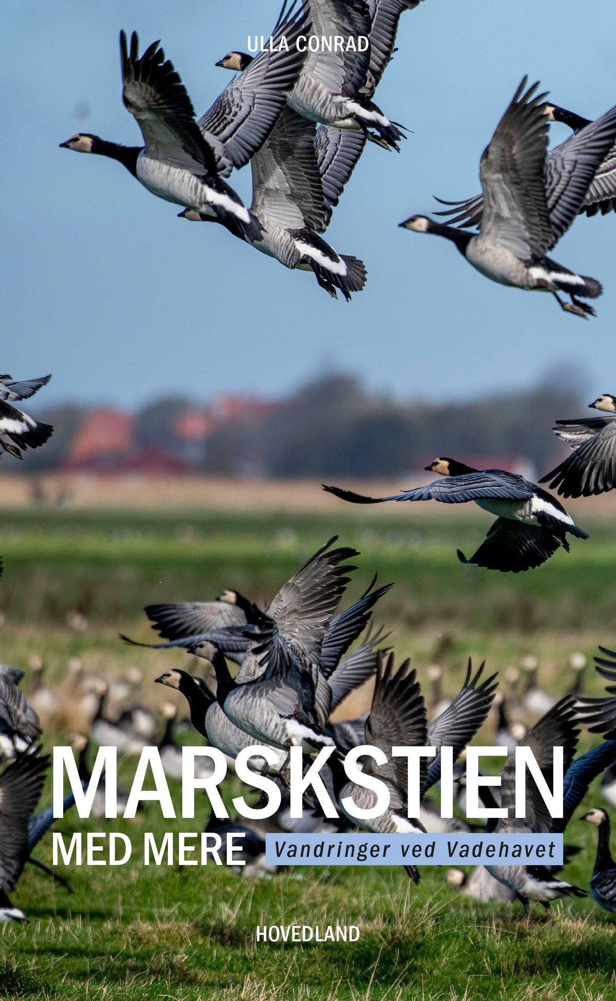 MARSKSTIEN