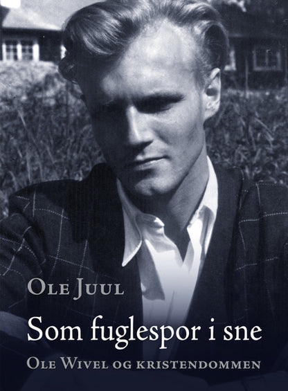 SOM FUGLESPOR I SNE