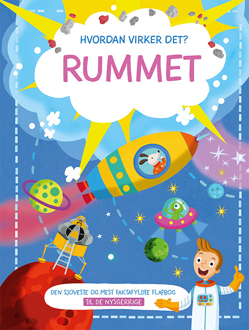 RUMMET - TIL DE NYSGERRIGE (PAPBOG MED FLAPPER)
